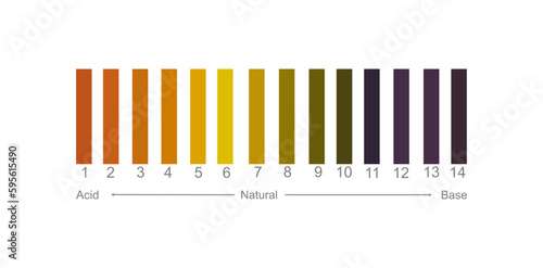 The interpretation chart of litmus paper in PH detection in sample solution : acidic or base.