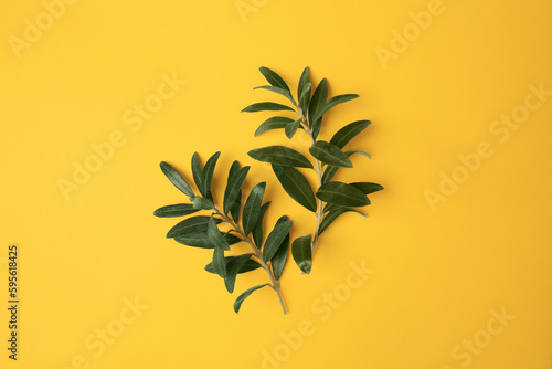 Tableau sur toile Olive twigs with fresh green leaves on yellow background, flat lay