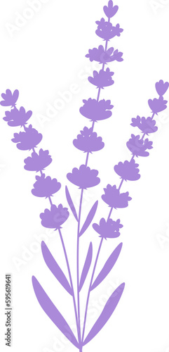 Card lavender flowers silhouette vector illustration
