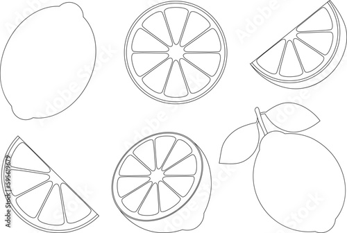 Set citrus lemon lime slices coloring vector illustration