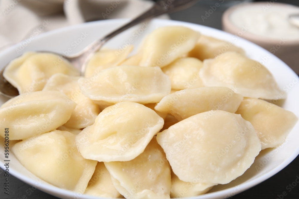 Plate of delicious dumplings (varenyky) with cottage cheese, closeup