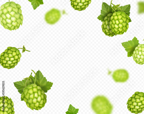 Hops background, Realistic hop cones falling with blur effect. Vector