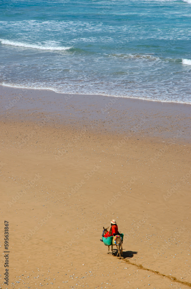 Mule-driven workers moving along a beach on the Atlantic Ocean in Morocco to collect molluscs from mussels. Beach and waves. 03-15-2023. Mule-driven workers moving along a beach on the Atlantic Ocean in Morocco to collect molluscs from mussels. Beach and waves. 03-15-2023.