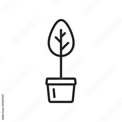 Plant vector linear icon. Houseplant flat sign design. Seedling nature plant symbol isolated pictogram. Plant UX UI icon symbol outline sign 