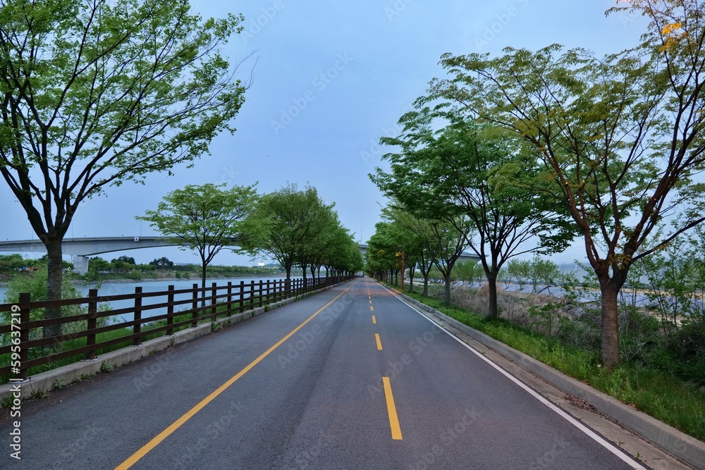 Fototapeta premium 길거리, 경관, 아스팔트, sky, 나무, 네이처, 간선도로, 길, 여행, 나무, 농촌, 국가, 여름, 거리, green, 나무, 시골, 곡선, 경로, 목초, 레인, 일, 구름, 교통, car