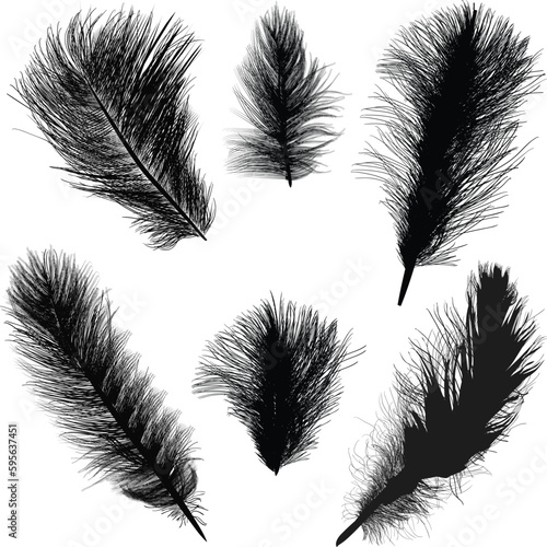 six fluffy black silhouettes of feathers isolated on white