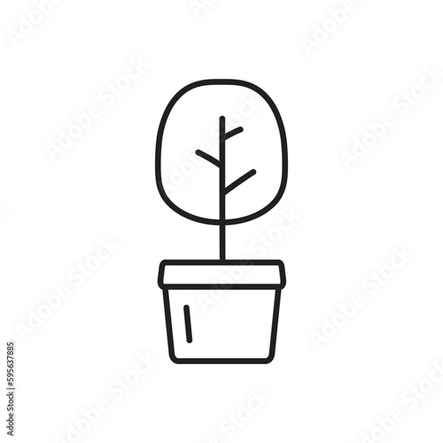 Plant vector linear icon. Houseplant flat sign design. Seedling nature plant symbol isolated pictogram. Plant UX UI icon symbol outline sign 