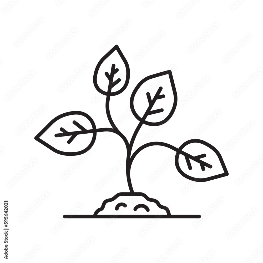 Planting vector line icon. Seedling flat sign design. Planting nature leaf symbol pictogram. UX UI isolated icon of seedling planting leaf. Linear icon outline seed symbol Planting vector line icon. Seedling flat sign design. Planting nature leaf symbol pictogram. UX UI isolated icon of seedling planting leaf. Linear icon outline seed symbol