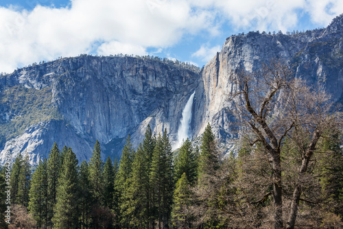 Spring in Yosemite