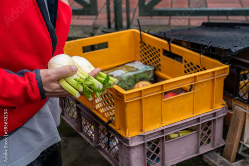 foodsharing-and-containern-in-germany