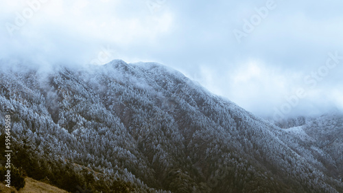 snow covered mountains