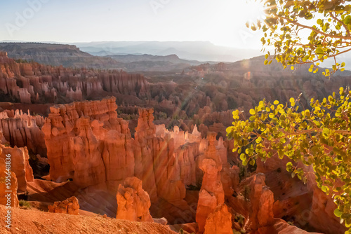 Panoramic morning sunrise view on sandstone hoodoo rock formation of Thor hammer in natural amphitheatre of Bryce Canyon National Park, Utah, USA. Sun beams touching tree branch in golden hour colors
