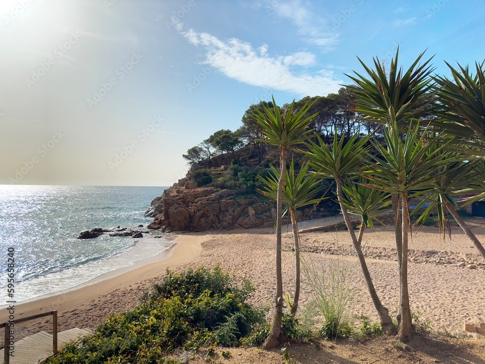 beach with and crystal clear turquoise water and Yucca Palms in Canyet de Mar, vacation, summer vacation, tourism, Costa Brava, Spain, Mediterranean, Europe