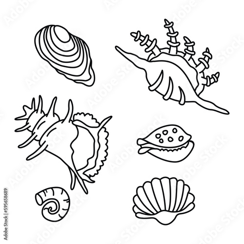 Sea shells drawn with a line black color.Set of graphic elements isolated on white background. Underwater life of the oceans and seas. Spiral-shaped mollusks with growths .Vector  illustration.