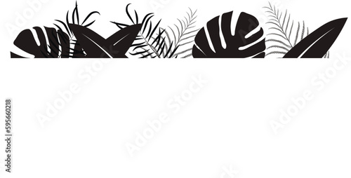 
Tropical background with black palm leaves with space for dough