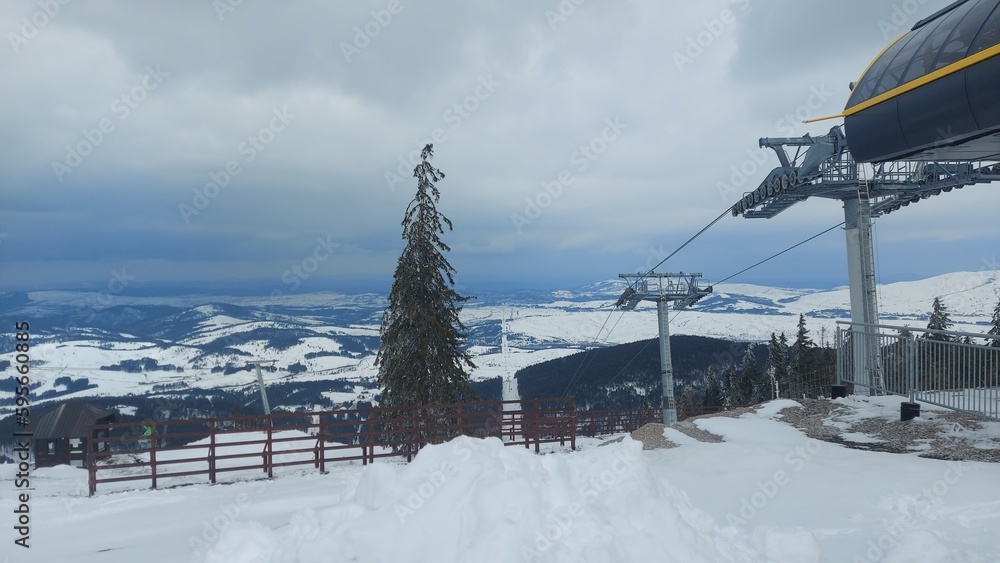 Obraz premium Tornik Zlatibor