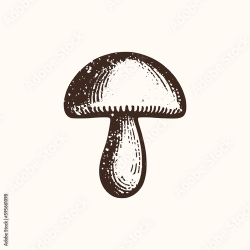 Vintage illustration of a mushroom. an old-school logo of a fungus. Aesthetic retro logo for gathering isolated on white background. vector logo.