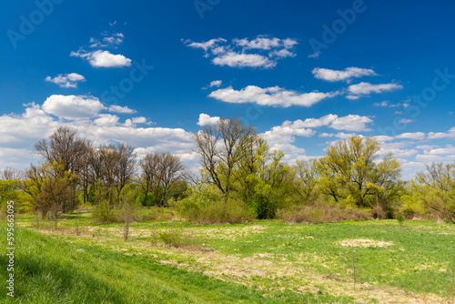 Wiosenne pola na tle niebieskiego nieba z białymi obłokami. Malownicza sceneria na bezdrożach, Polska