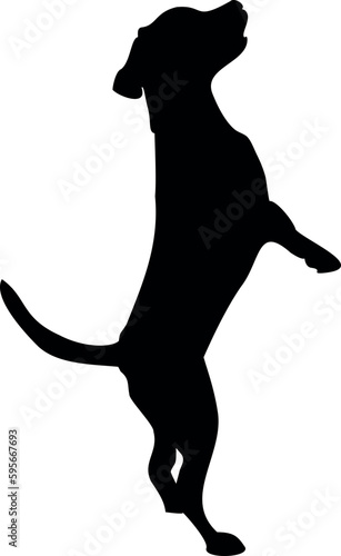 Vector perro parado en dos patas