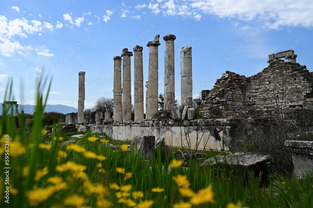 Obraz premium Afrodisias Ancient city. (Aphrodisias). The common name of many ancient cities dedicated to the goddess Aphrodite. The most famous of cities called Aphrodisias. Karacasu - Aydın, Turkey