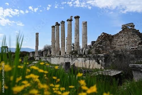 Afrodisias Ancient city. (Aphrodisias). The common name of many ancient cities dedicated to the goddess Aphrodite. The most famous of cities called Aphrodisias. Karacasu - Aydın, Turkey