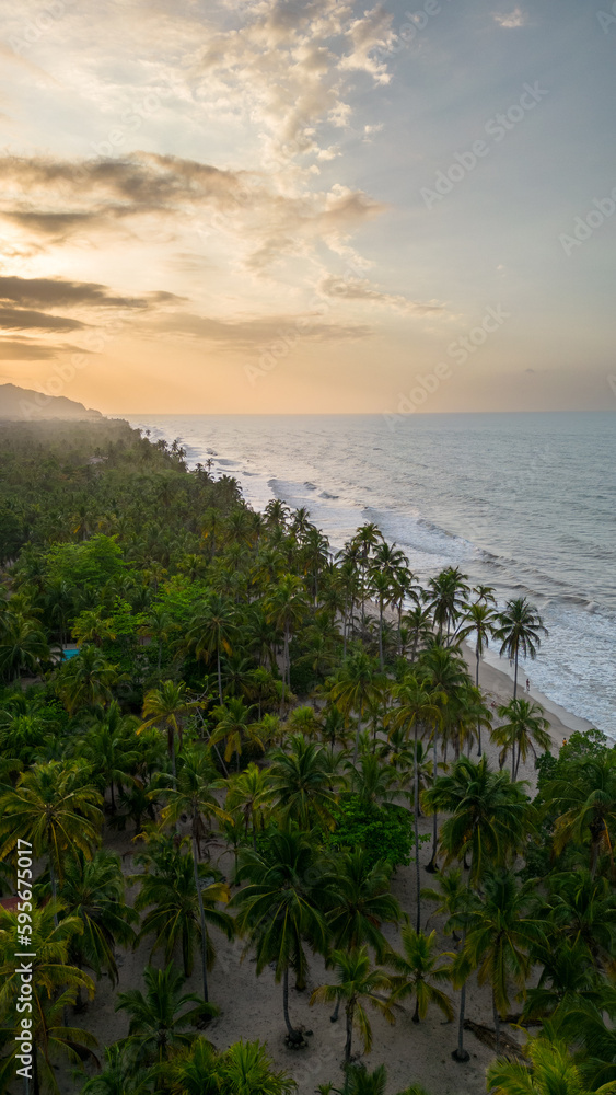 Beach with palm trees in paradise. Drone aerial photography. Sunset in the Caribbean. Amazing scenery. Nature.