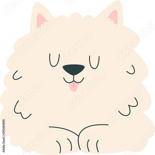 Fluffy Dog Lying