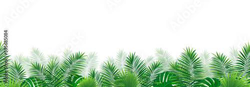 Amazon tropical leaves seamless pattern. vector illustration. Rainforest foliage template border frame. Jungle plants repeated banner. Green backdrop with tropic palm leaf monstera. Summer background