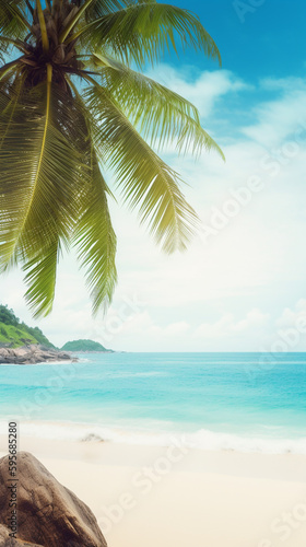 beach with palm trees background