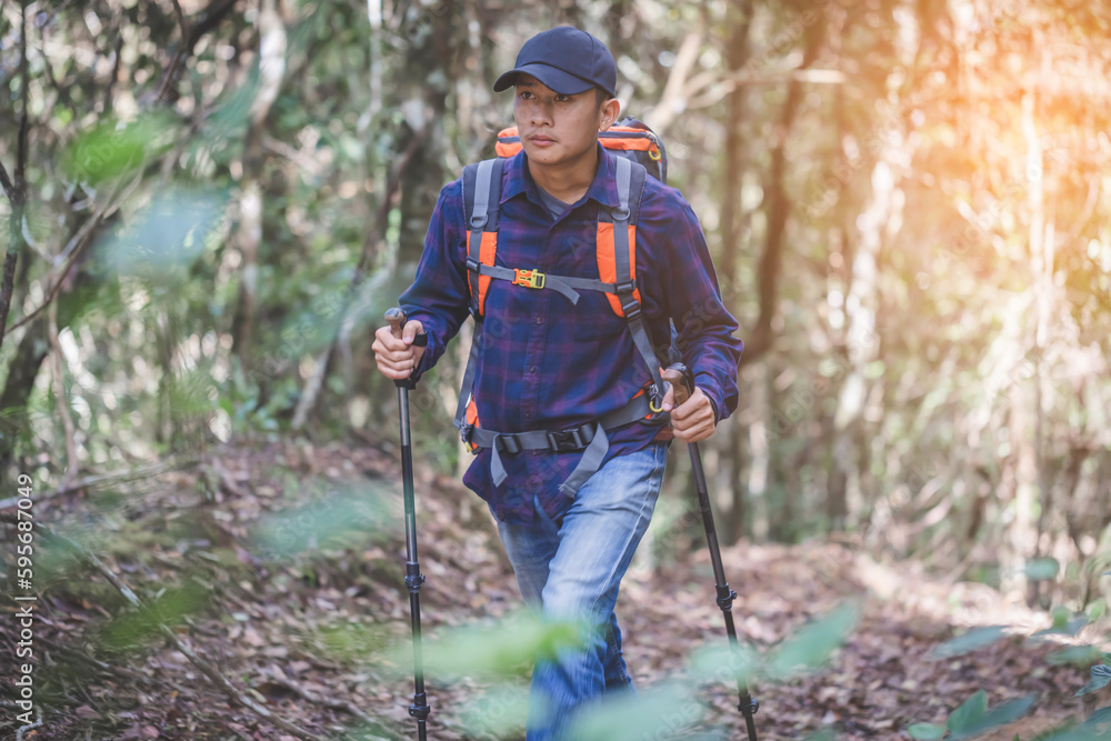 traveller Man using hiking poles walking in the woods traveller Man using hiking poles walking in the woods