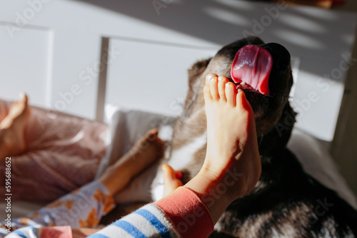 dog licking barefoot of the small children in the bed photo