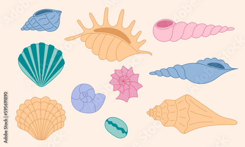 Set of hand Drawn sea Shells. Collection of colorful Underwater shells