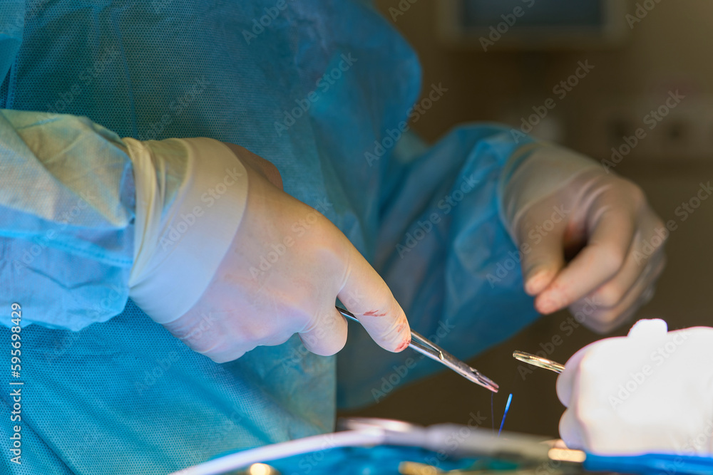 surgical instruments in the hands of a doctor close-up surgical instruments in the hands of a doctor close-up