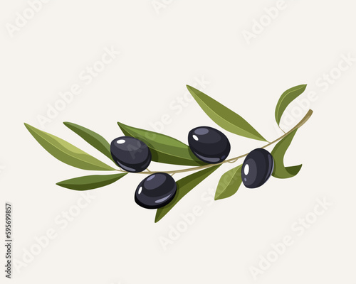 Vector illustration of the olive tree branch