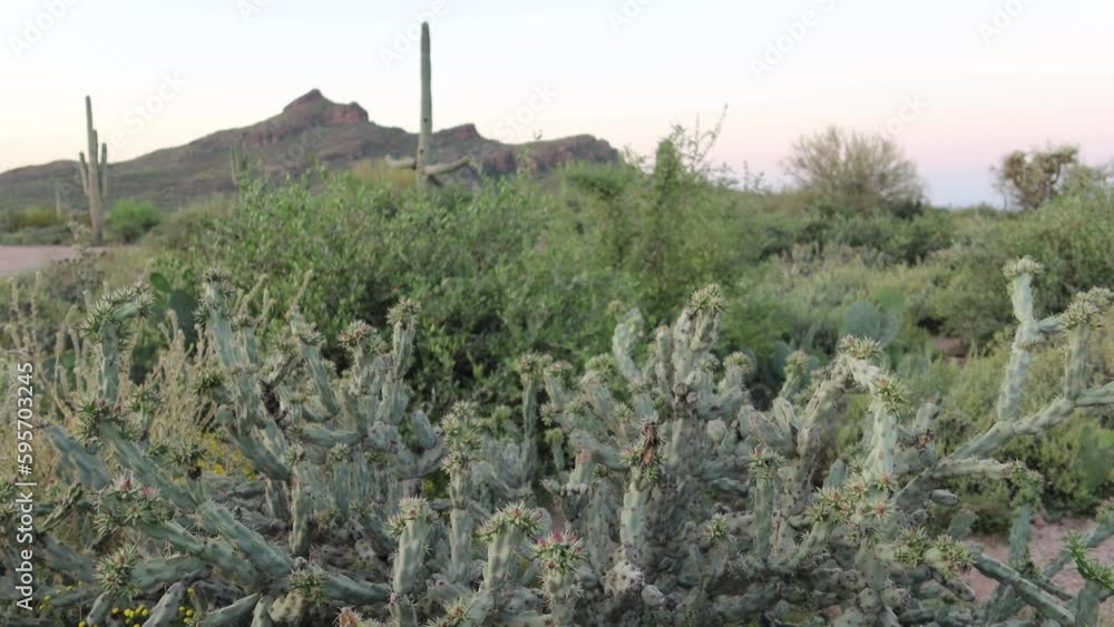 Superstition Mountains in Central Arizona, America, USA. Superstition Mountains in Central Arizona, America, USA.