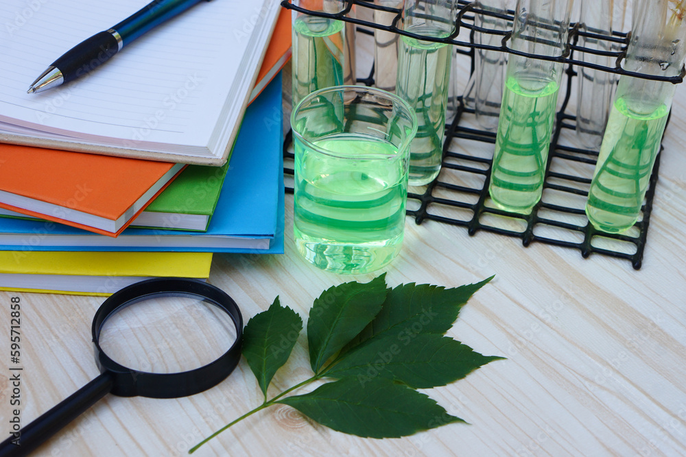 Foto de Science tool kits for teaching. Magnifying glass, leaf, test tubes, pen and paper