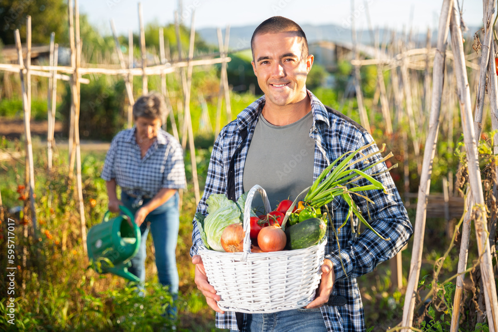Fototapeta premium Man gardener holding basket with harvest of vegetables in garden outdoor