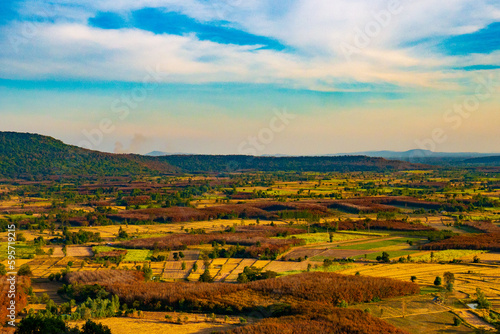 ムー山から眺める田舎の田畑風景