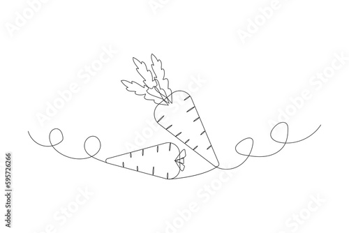 Line art carrot. Continuous line one drawing. Organic food. Vector illustration.