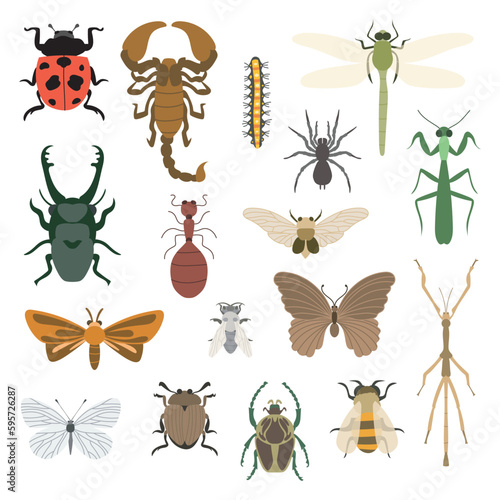 Set of insects and bugs colorful set flat illustration design vector collection entomology drawing pack