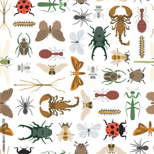 Seamless pattern of insects and bugs entomology flat vector illustration photo