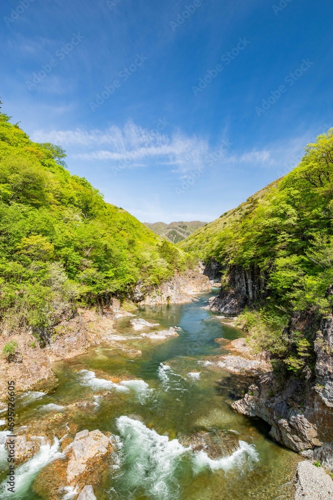 龍王峡と新緑(栃木県日光市) 龍王峡と新緑(栃木県日光市)