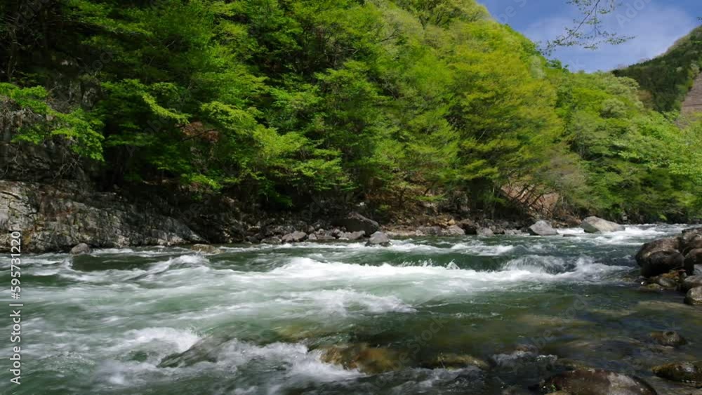 新緑期の龍王峡(栃木県日光市) 新緑期の龍王峡(栃木県日光市)