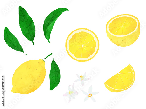 レトロな手描きのレモンのイラスト素材セット