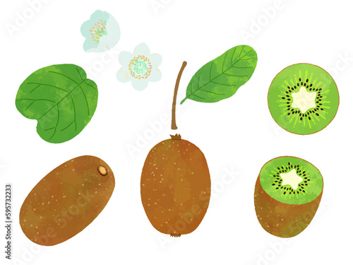 レトロな手描きのキウイフルーツのイラスト素材セット