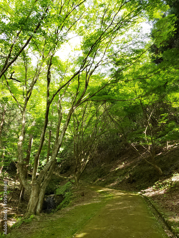 東山公園散策 東山公園散策