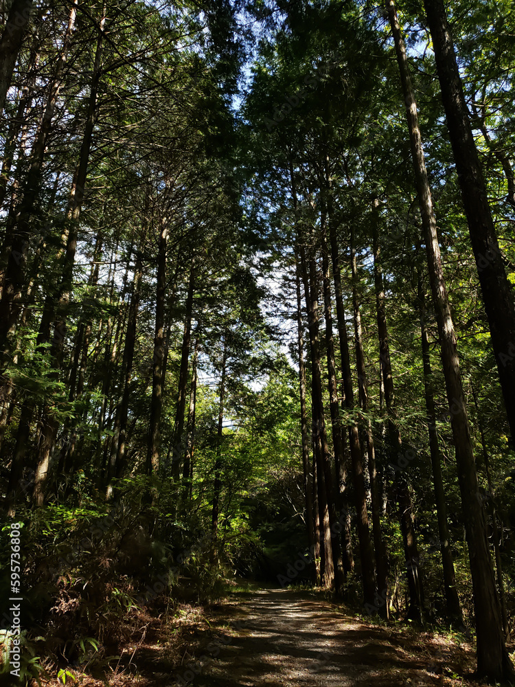 東山公園散策 東山公園散策