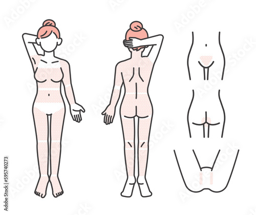 女性の脱毛部位パーツの説明図のベクターイラスト素材／VIO／エステ