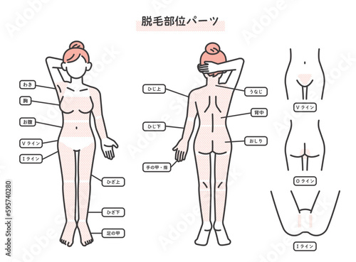 女性の脱毛部位パーツの説明図のベクターイラスト素材／VIO／エステ
