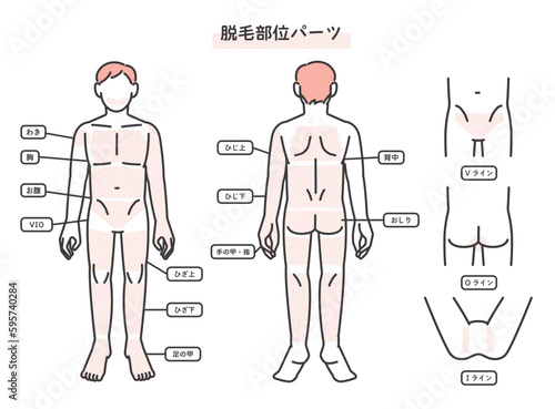 男性の脱毛部位パーツの説明図のベクターイラスト素材／髭／エステ